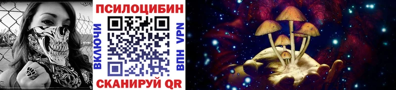 Псилоцибиновые грибы GOLDEN TEACHER  Северобайкальск 